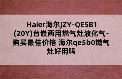 Haier海尔JZY-QE5B1(20Y)台嵌两用燃气灶液化气-购买最佳价格 海尔qe5b0燃气灶好用吗